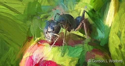 Ant On A Peony Bud Art (Impasto)_P1120860.jpg - Photographed near Smiths Falls, Ontario, Canada.